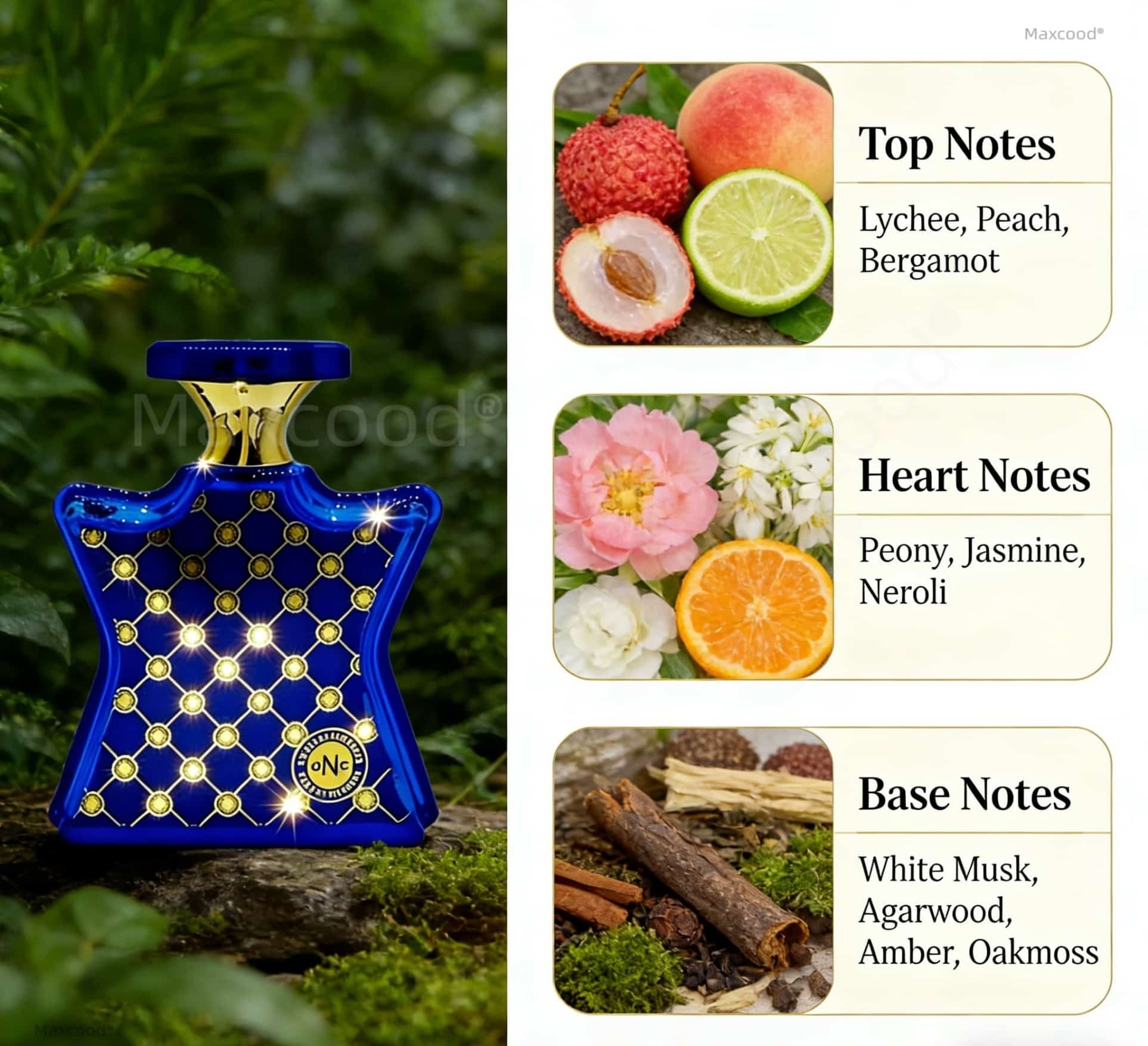 Citrus and Floral Perfume Long - Perfume Fragrance For Girls 评论和价格