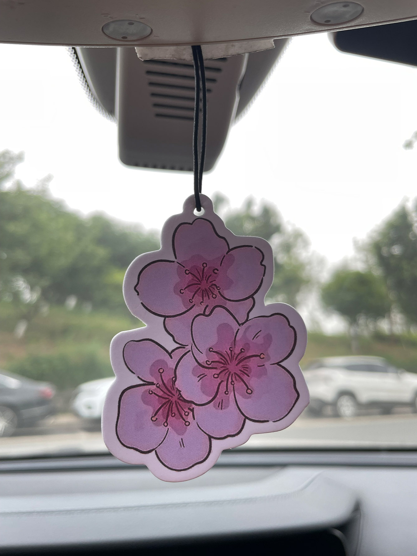 Sakura/Freesia Fresh Scent Fiv - Perfume Room Fragrance 评论和价格