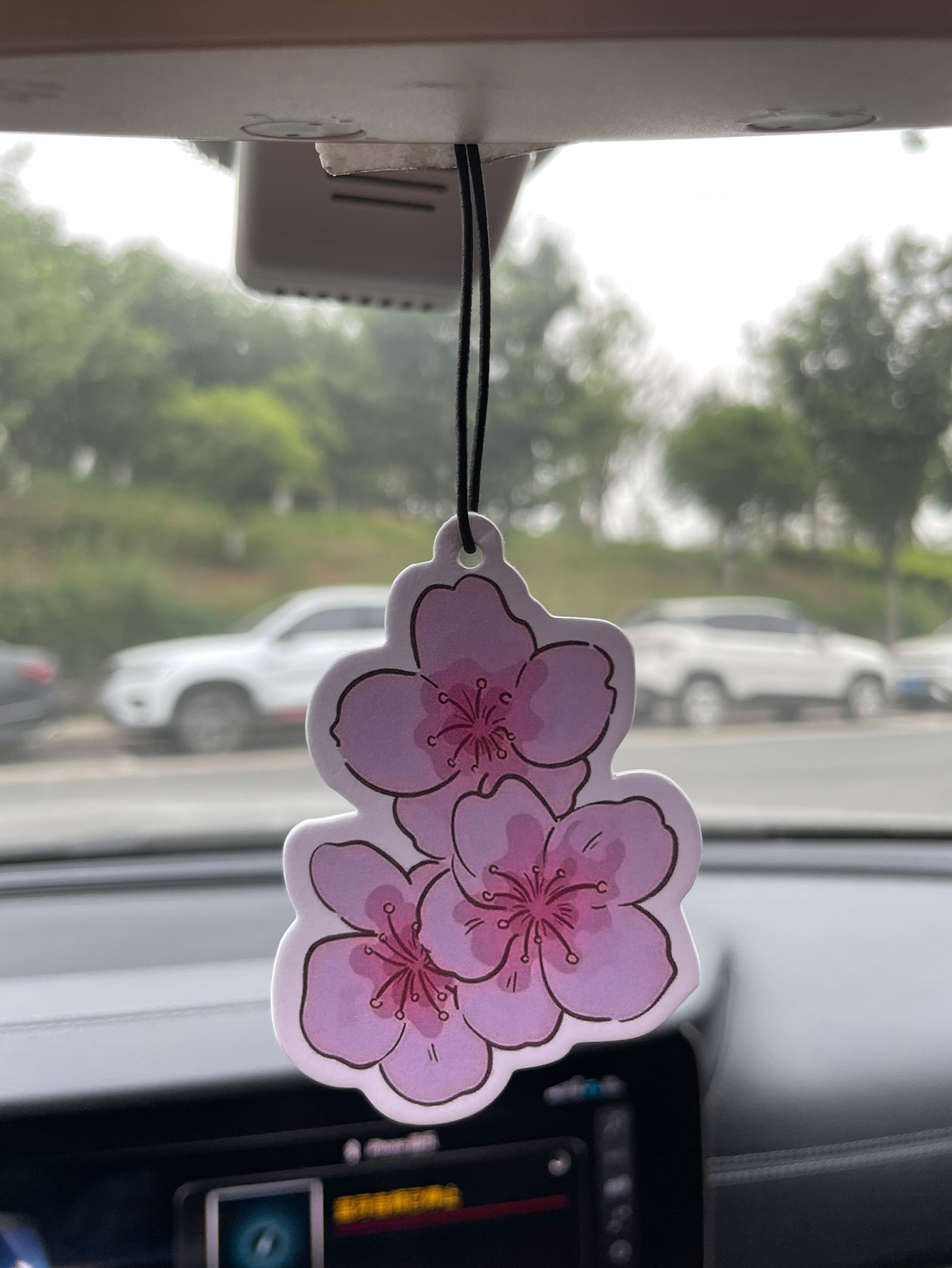 Sakura/Freesia Fresh Scent Fiv - Perfume Room Fragrance 评论和价格